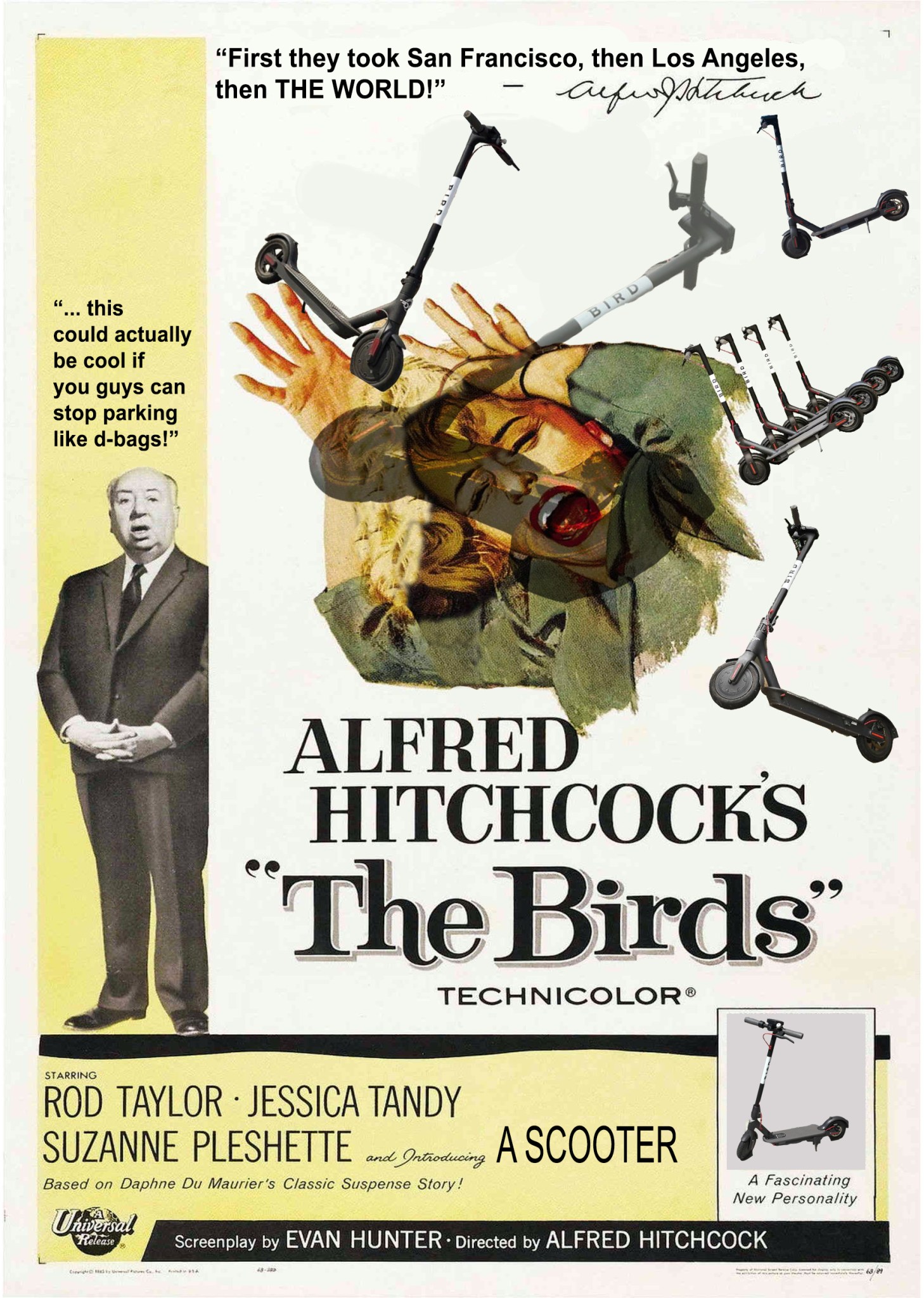 thebirds