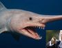 Tea’s Weird Week: Trump is a Goblin&nbsp;Shark